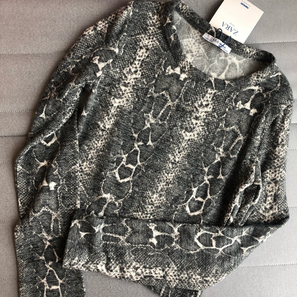 Animal Print Sweater Top (Zara)